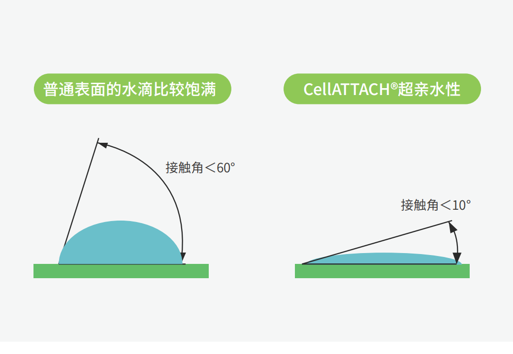 独特的超亲水表面处理技术，能为细胞提供更好的吸附性，促进细胞快速贴壁生长，提高产量